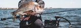 Daiwa 24 TD Black MQ LT – fishing - reels - spin built for performance and reliability.