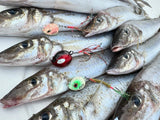 Vexed Micro Meat – fishing - lures - jigs / metals built for performance and reliability.