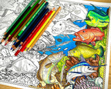 Educational fish colouring pages showing estuary and ocean fish