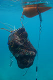 Old Man Blue Catch Bag – zz - dive / snorkel built for performance and reliability.