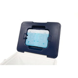 14 litre blue portable cooler with hinged lid and integrated cup holders for camping, fishing and outdoor day trips