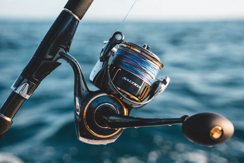 Daiwa 25 Saltiga Spinning Reel (PRE-ORDER)