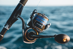 Daiwa 25 Saltiga Spinning reel