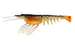 Nomad Switcher Shrimp