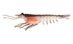 Nomad Switcher Shrimp