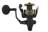 Daiwa BG SW 26 saltwater fishing reel with durable construction and powerful drag system.