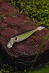 Nomad Live Ops Delta Minnow