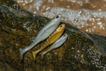 Nomad Dozer Minnow