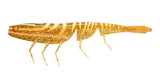 Soft plastic prawn lure with lifelike action for Australian waters