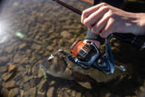 Shimano 2025 Nasci FD