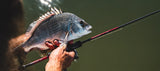 Daiwa 26 Infeet SK estuary fishing rod with lightweight HVF Nanoplus graphite blank and premium Fuji guides designed for finesse lure fishing.