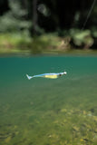 Nomad Spectre Minnow