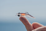 Nomad Switcher Shrimp