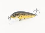 Close-up of Rapala CountDown CD5 lure showing detailed baitfish finish
