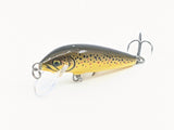 Close-up of Rapala CountDown CD5 lure showing detailed baitfish finish
