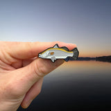 Doon River Fishy Pin