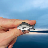 Doon River Fishy Pin