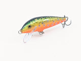 Close-up of Rapala CountDown CD5 lure showing detailed baitfish finish