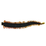 Gulp Sandworm 2inch – fishing - lures - soft plastics built for performance and reliability.