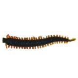Gulp Sandworm 2inch – fishing - lures - soft plastics built for performance and reliability.