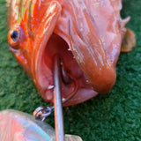 IkiFree hook removal tool removing a fishing hook from a fish's mouth