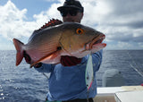Ocean's Legacy Keeling Chubby offshore stickbait lures available in 92mm, 115mm and 135mm sizes, designed for targeting aggressive saltwater predators.