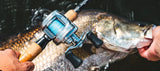 Daiwa 26 Ryoga Baitcast Reel