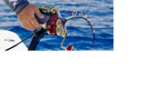 Daiwa 24 Seaborg G