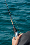Shimano Taipan 26 fishing rod range, durable Australian fishing rods designed for versatile inshore, estuary, boat and recreational fishing.
