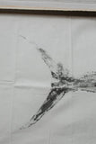 detailed fish scales and fins transferred onto paper using traditional fish printing method.